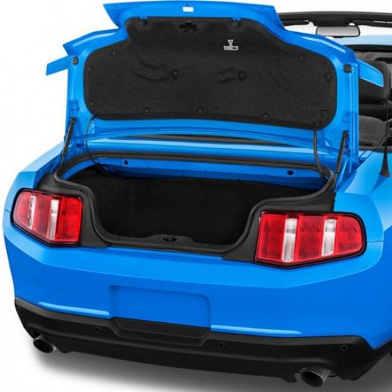 For Ford Mustang 2015- Trunk Tailgate Lift Supports Rod Gas Struts 2Pcs