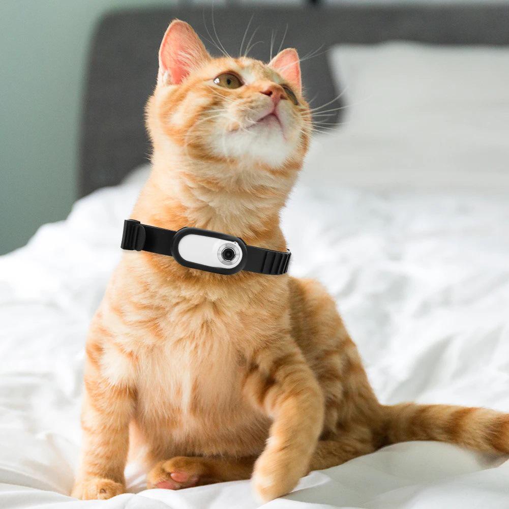 High-Definition Magnetic Pet Camera and Motion DV