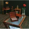 Mini Dollhouse Cigar Ashtray 1Pcs Realistic Lifelike Cigarette Model Mini Ornament for Micro Scene Craft Lovers