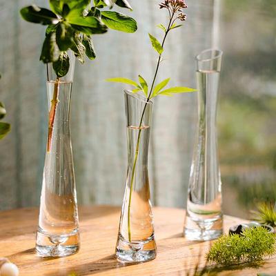Hánwèi Decorative Glass Vases & Hydroponic Planters