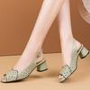 Versatile Thick Heel Fashionable Hollow Fish Mouth Sandals for Women Summer Mid Heel Buckle Sandals