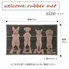 Fancy Mud Removal Mat for Cats and Doormat for Kitchen Water Office Home Use Doormat, Dogs, Non-Slip Floors, Carpet, Absorbent, Indoor/Outdoor Use,