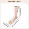 2 Pieces Mannequin Feet Model Male Foot Display Sock Creative PVC