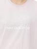 Short Sleeve Sport Core Flying NB Short Sleeve SOI [New Balance] Women's T-Shirt T-Shirt (WT41816) (Stone Pink)