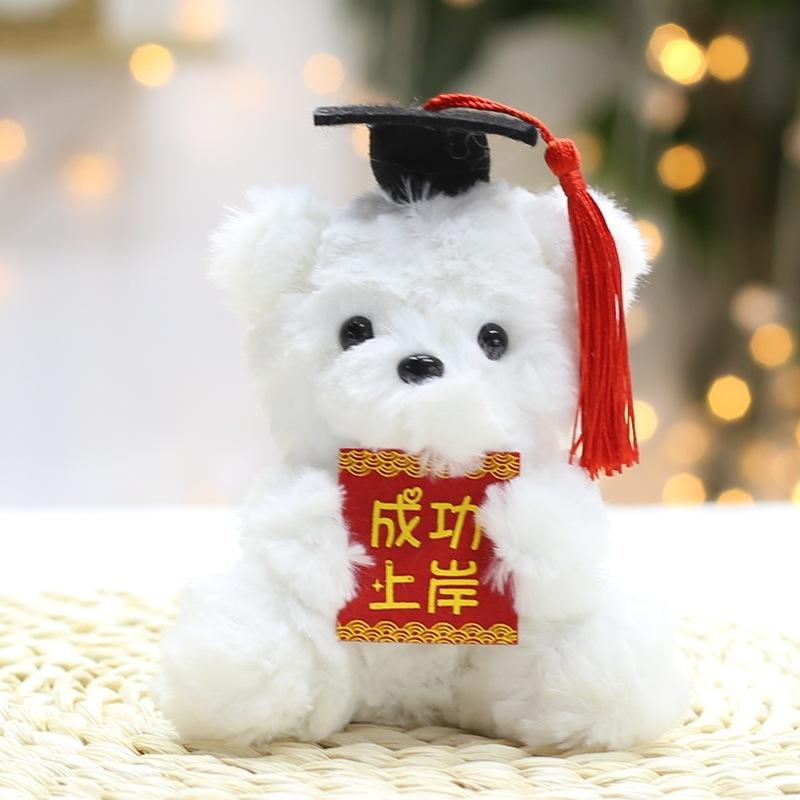 Creative Bag Hanging Decoration Keychain Pendant Holding Card Doctor Bear Small Pendant Bear Doll Plush Toy