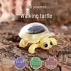 Solar-Powered Insect Toys: Creative Science Experiment Models for Children's Educational Learning
