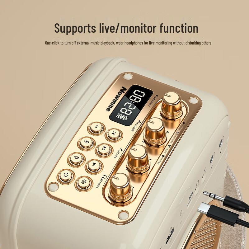 Newsmy K513 Portable Bluetooth Karaoke Speaker System CN Plug (adapter Included)