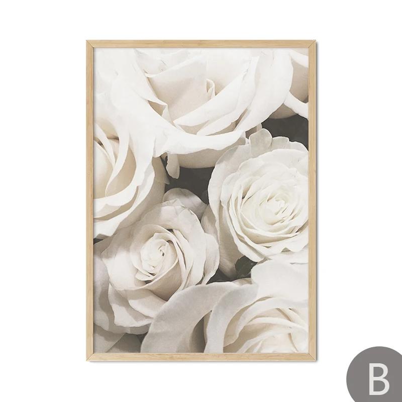 Beige Schilf Wandkunst Leinwanddruck Poster Landschaft Blume Figur Nordisch Modern Dekorative Malerei Elegante Bilder Wohnzimmer