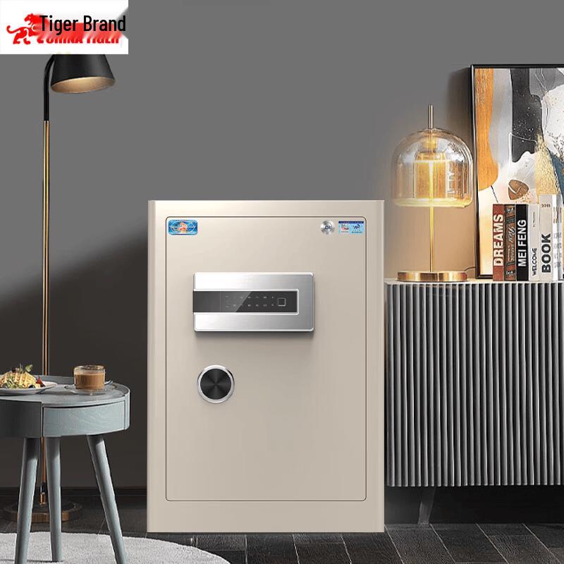 TIGER Home Office Fingerprint Password Safe