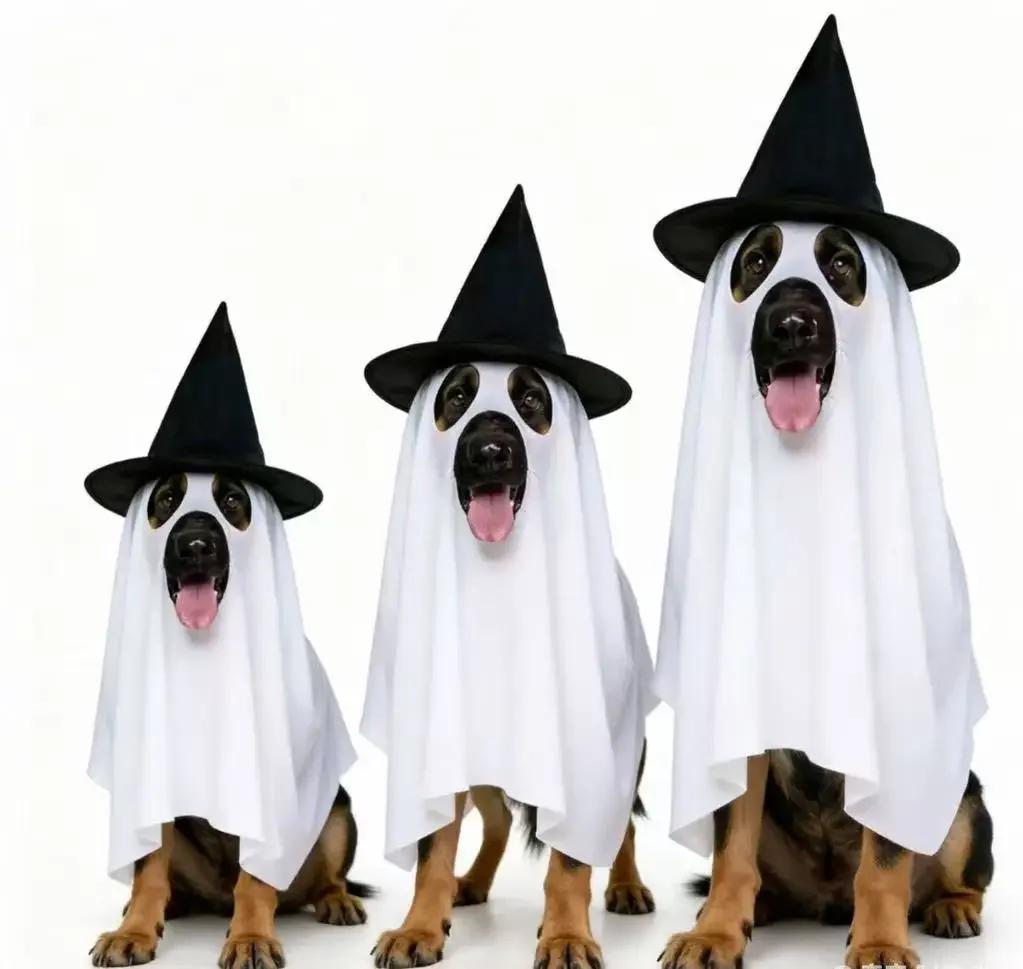 Halloween Dog Ghost Costume Pet Cosplay Cloak with Witch Hat Candy Pot Funny Puppy Outfit for Halloween Party Photo Prop Large