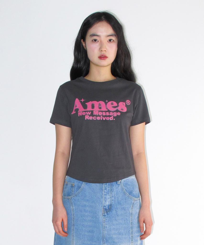 AMES-WORLDWIDE Round Hem Crop Tee Charcoal