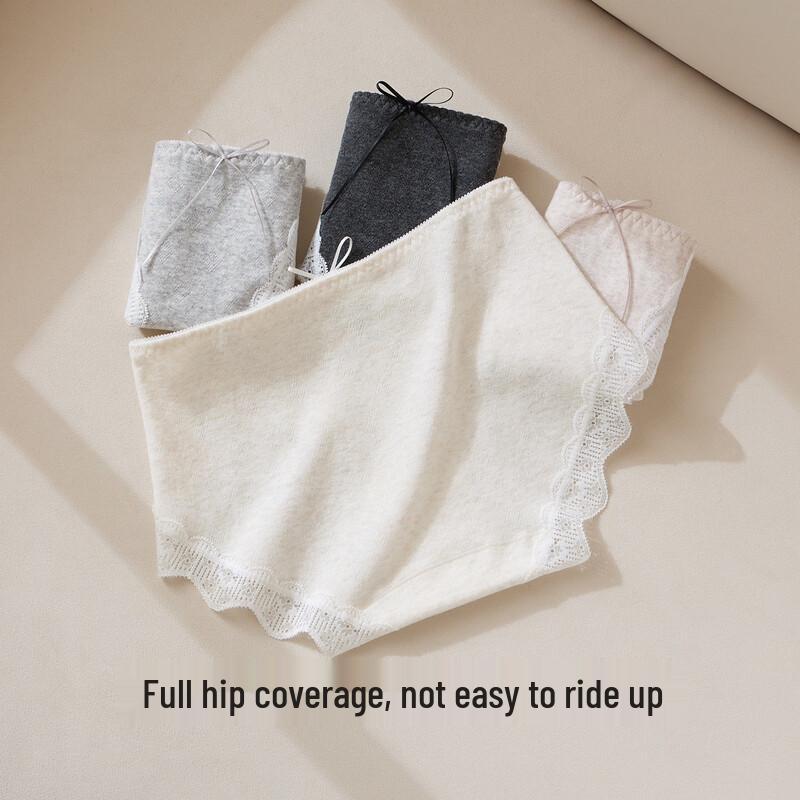 SecretWorld Women's 100% Cotton Antibacterial Lace Briefs