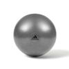 Adidas Gym Ball Gray 55cm