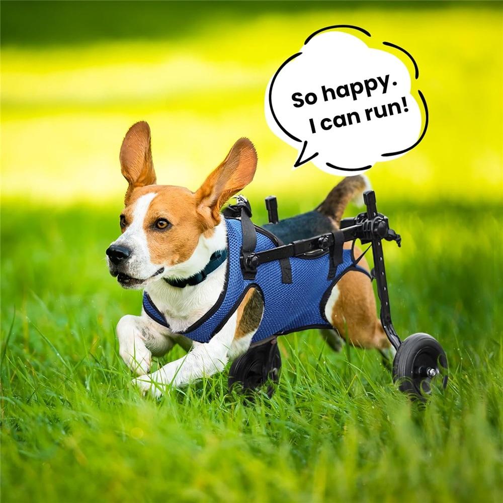 Hundewagen für Hinterbeine – Verstellbare Mobilitätshilfe für kleine Hunde, Hüftstütze & Beinschiene, Gehhilfe für behinderte Haustiere (XS/S/M)