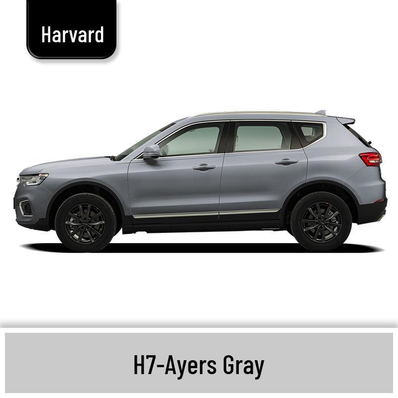 Haval H6 Cool Dog Touch-Up Pen, Black Spot & Ruixue White Scratch Repair Paint