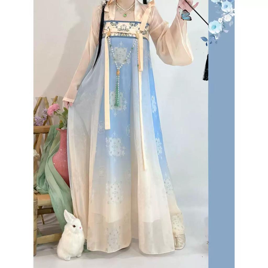 Women's Tang Dynasty Hanfu Set, Elegant High Waist Ruqun Skirt, Fairy Hanfu For Daily Spring Summer Wear