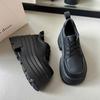 Women's Fashion Thick Heel Shoes Autumn New Round Head Deep Mouth Front Lacing Platform Non-slip High Heels