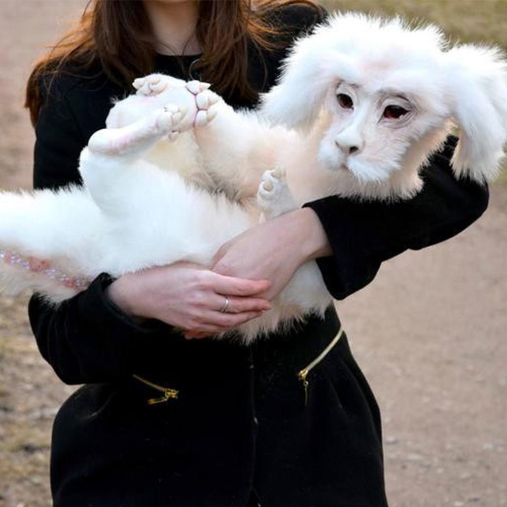 Falkor From The Neverending Story Plush Lucky Dragon Toy Pp Cotton Filling Home Decor Kids Gift