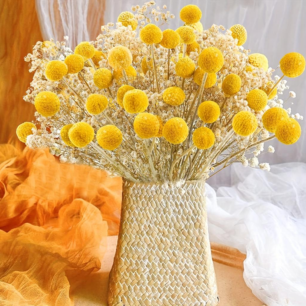 20pcs Golden Ball Dried Flowers Preserved Flowers Home Decoration Natural Dried Flowers