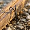 20PCS #6-#12 Salmon Double Fly Hooks High Carbon Steel Black Nickel Sharp Barb Streamer Wet Flies Trout Steelhead Fishing Lures