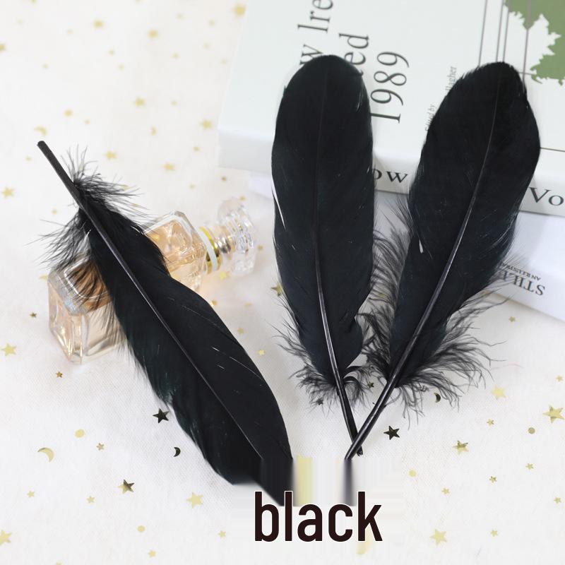 Barevná barvená velká husí pera pro DIY řemesla, ručně vyráběné dekorace a projekty pro mateřské školy