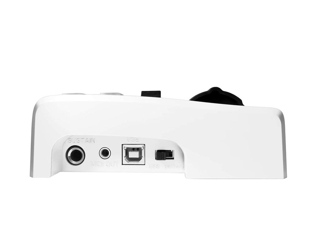 AKM320L MIDI Keyboard Controller with Cubase LE, the Standard DTM Software