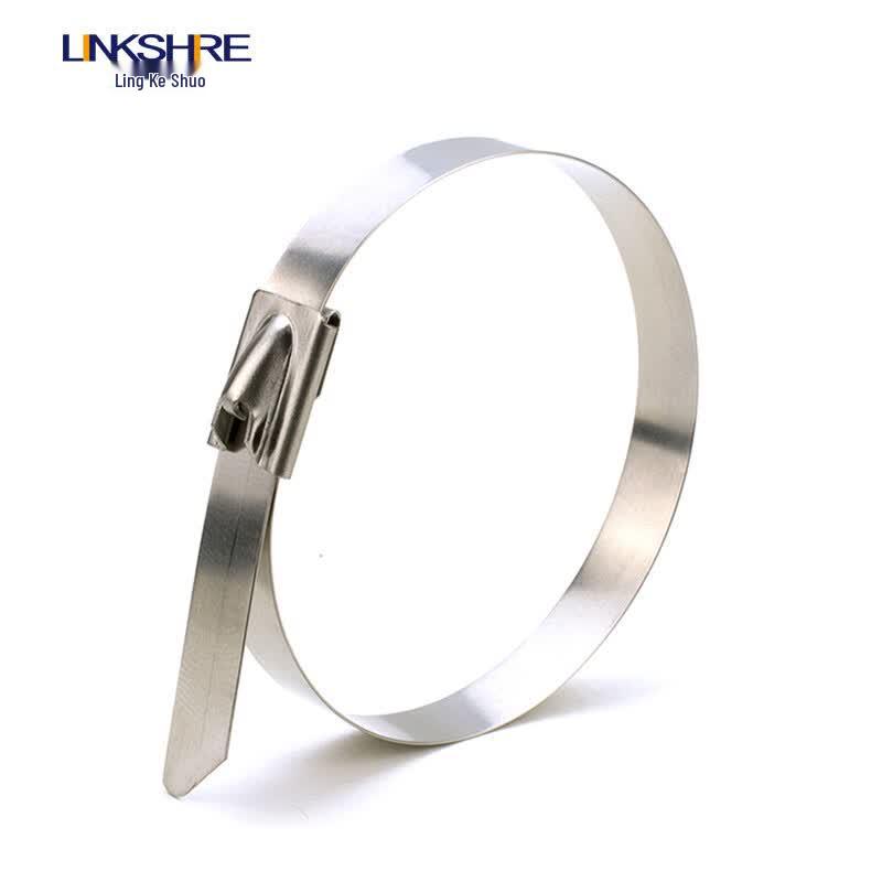 LINKSHIRE 201 Stainless Steel Ball-Lock Cable Ties, 100 Pack