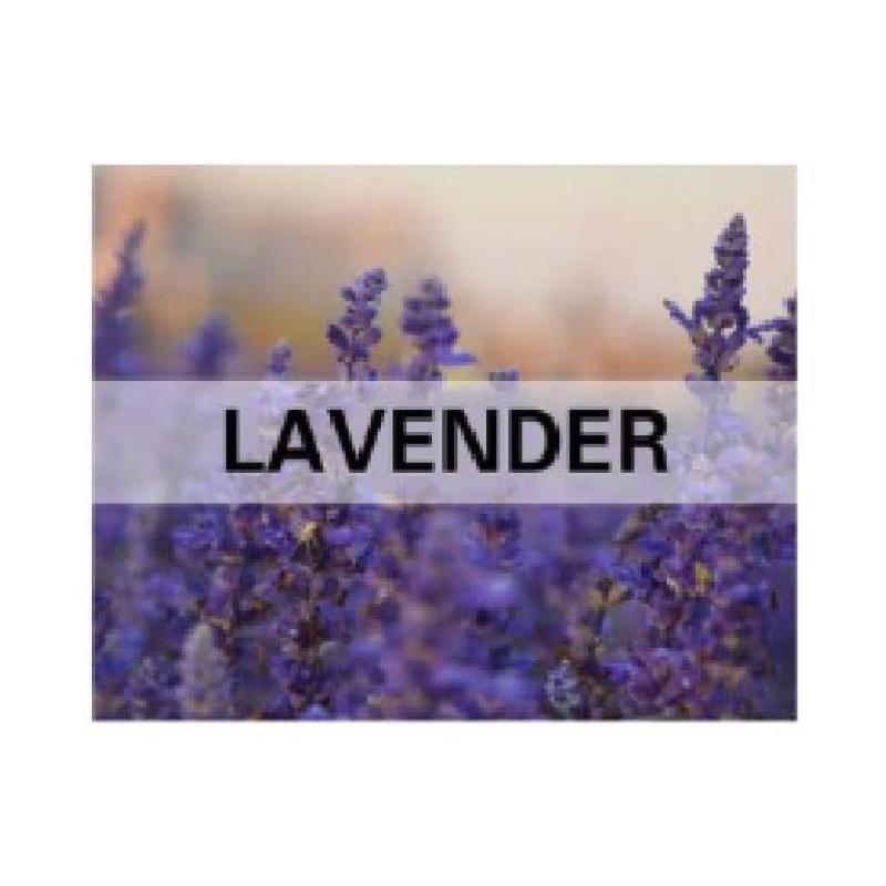 

Автомобильный освежитель воздуха, твердые духи, ароматерапия, КУПИТЬ 1 вешалку для духов, БЕСПЛАТНО, 5 шт.