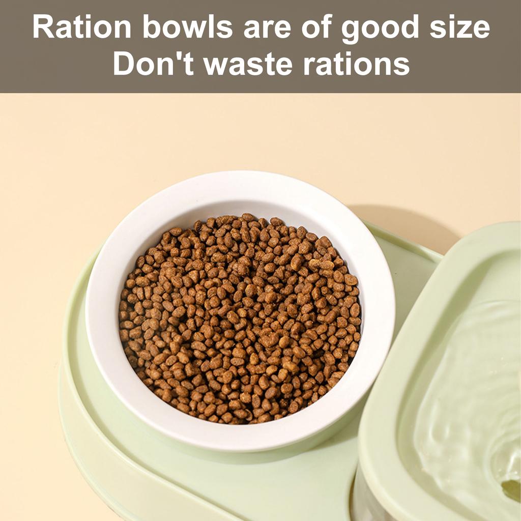 Dog Feeding Double Bowl Elevating Cats Bowl Food Container for Dog with Automatic Water Fountain Pet Watering Supply