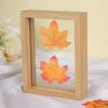 Wooden Doublesided Glass Photo Frame For A4 Herb Leaf Specimen Diy Art Display For Home Decor