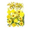 1 Set Dried Pressed Flowers Kit Colorful Natural Flowers DIY