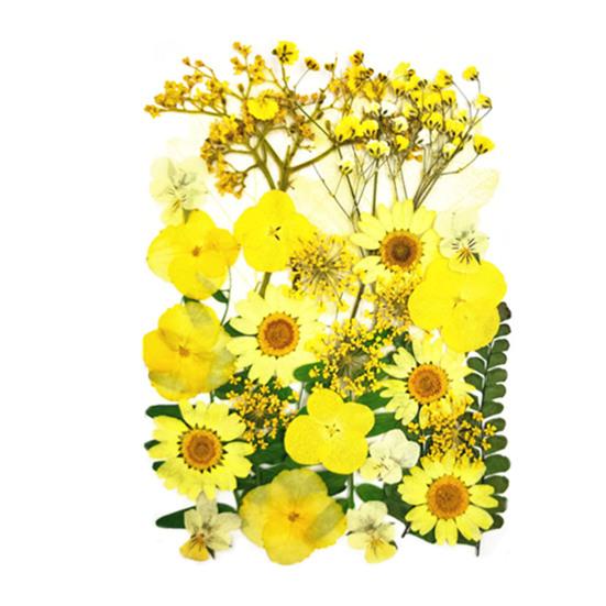 1 Set Dried Pressed Flowers Kit Colorful Natural Flowers DIY