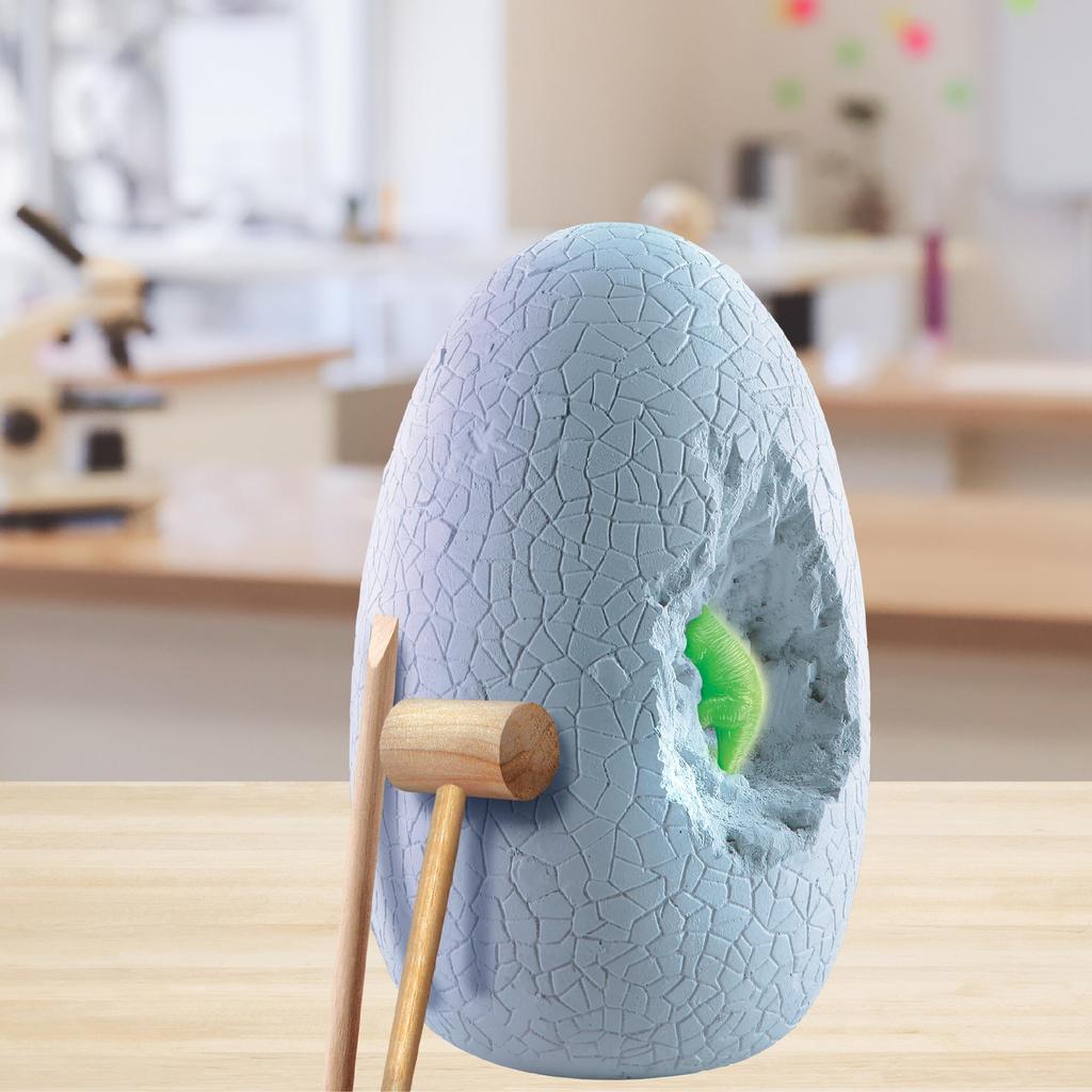 Discovery Dig Out the Dinosaur! Excavation Kit TK009 for Kids