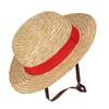 One Piece Straw Hat