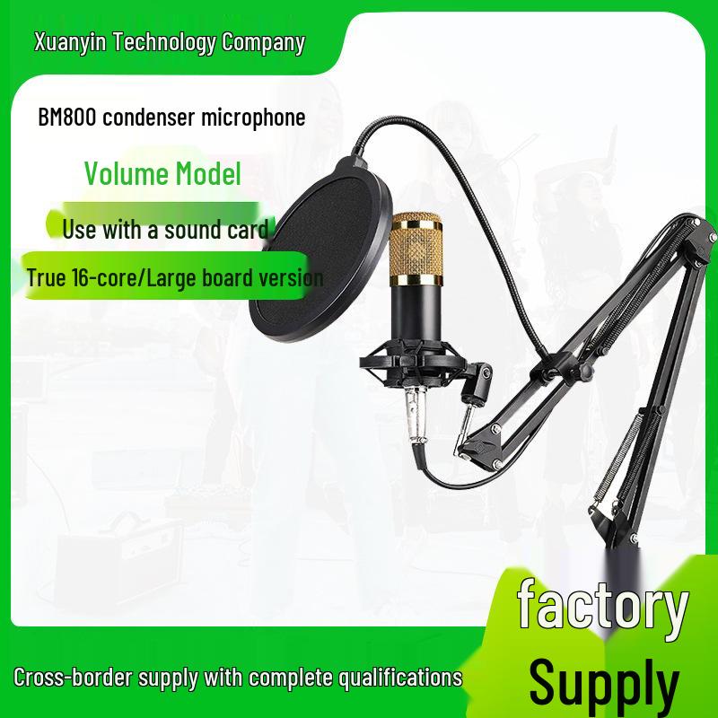BM800 Condenser Microphone Set: Large Diaphragm, Streaming Stand, and Recording Equipment