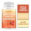 Apple Cider Vinegar 1877mg Capsules 120 Count — Daily Wellness, Antioxidant Support, Overall Wellness