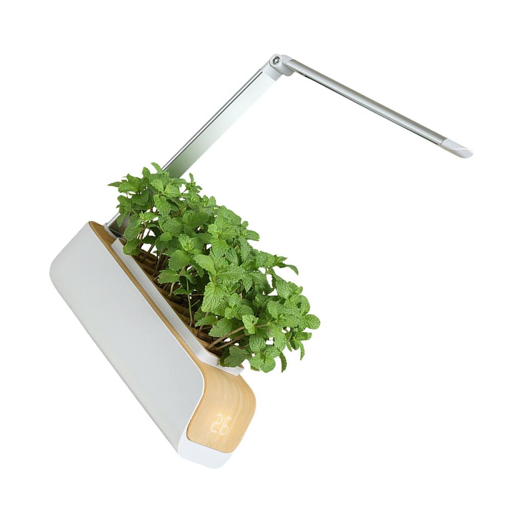 Automated Plant Growing Set With Full Spectrum Lighting And Height Adjustable Lamp For Vegetables Herbs Home Gardening