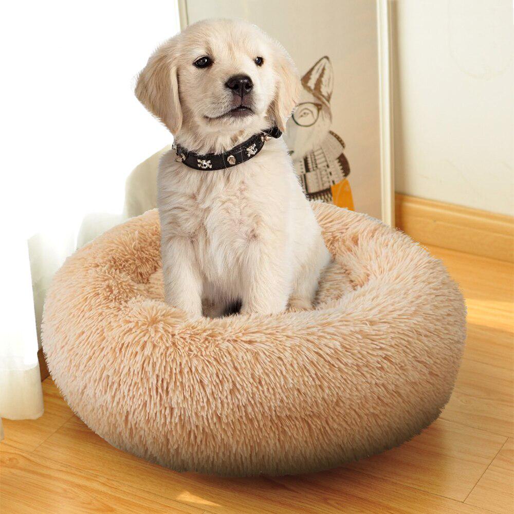 large soft dog bed