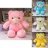 Charming Colorful Glowing Teddy Bear Stuffed Animal With Premium Pp Cotton Filling
