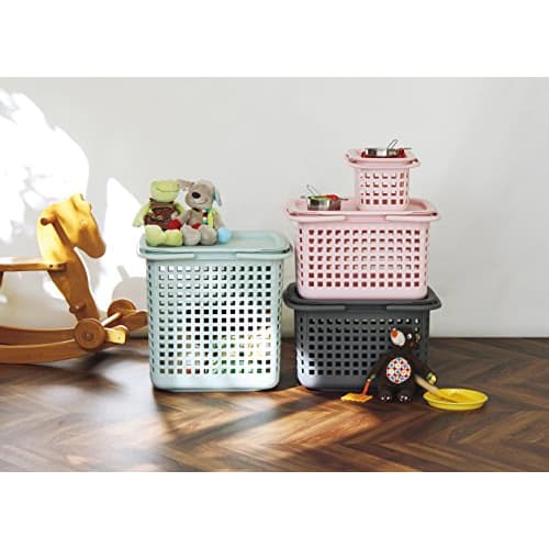 Hachimankasei Sceltevie Cestino Cavaccio RD S 238164