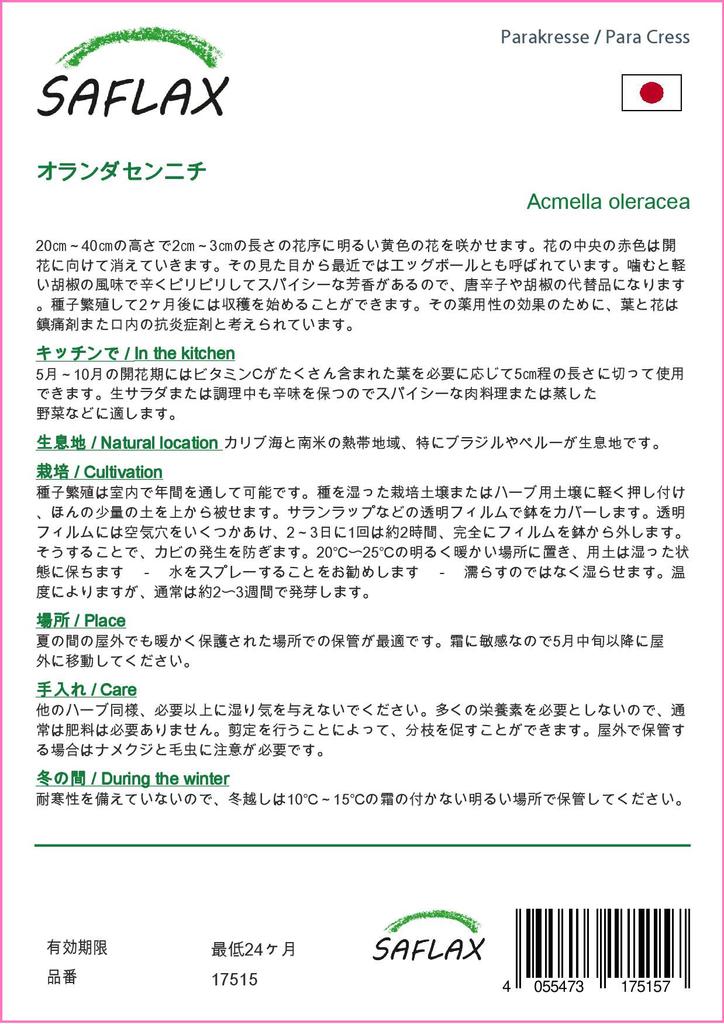 SAFLAX Dárková sada - Para Cress - 500 semen - S dárkovou krabičkou, kartou, štítkem a substrátem pro zalévání - Acmella oleracea