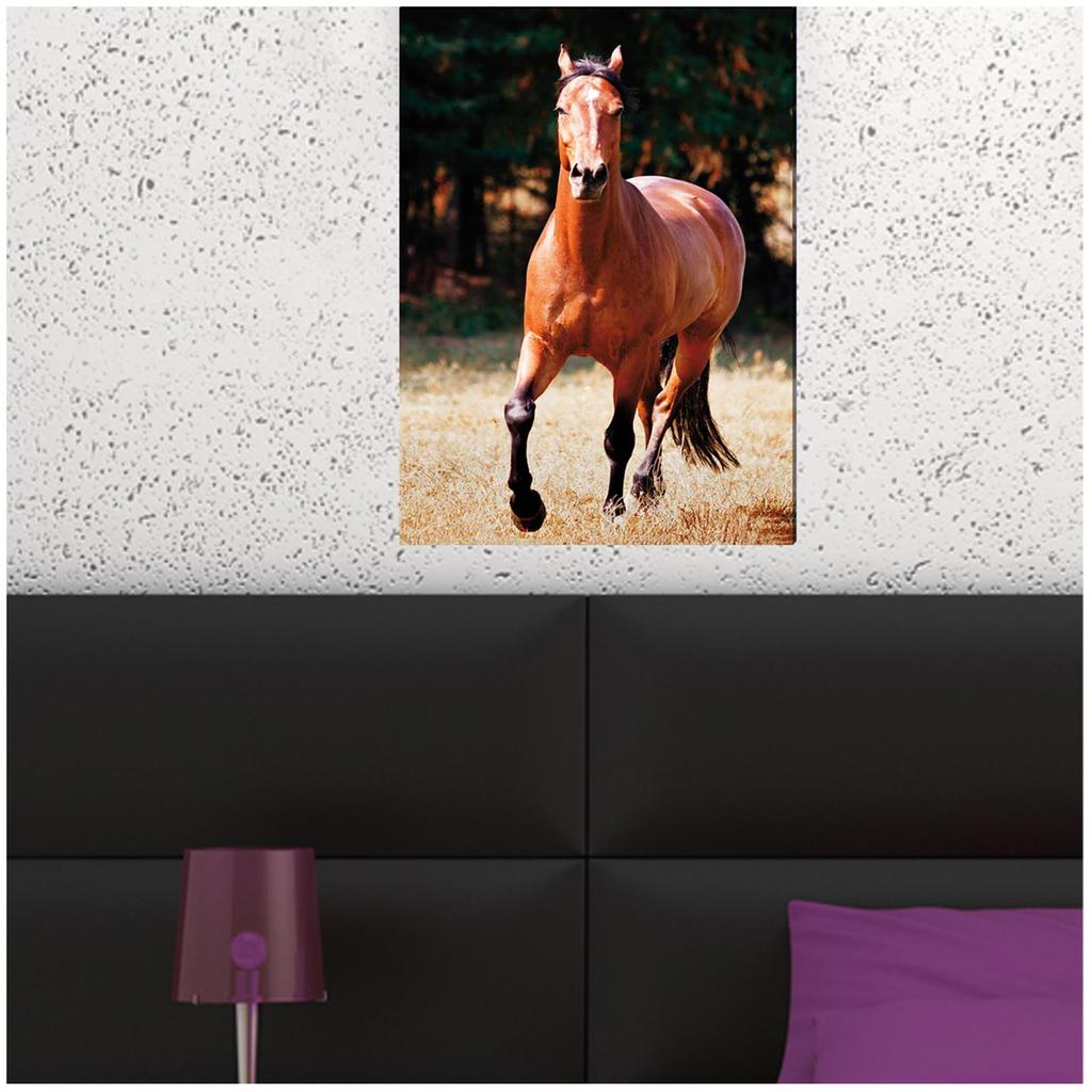 Les Trésors De Lily [A2330] - Black & White Canvas 'Passion Chevaux' Brown - 40x60 Cm