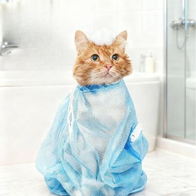 Gatti – Prodotti per la cura dei gatti