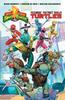 Mighty Morphin Power RangersTeenage Mutant Ninja Turtles by Ryan Parrott Paperback Book 9781684155866