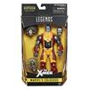 Hasbro Marvel Legends Action Figure Warlock Series Colossus Hasbro 2017 MARVEL LEGENDS WARLOCK SERIES COLOSSUS Legends 6-inch X-Men / [MCU X-Men]