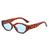 Cat's eye small frame polygonal irregular sunglasses personalized high-end sunglasses women's fashion retro sunglasses tide