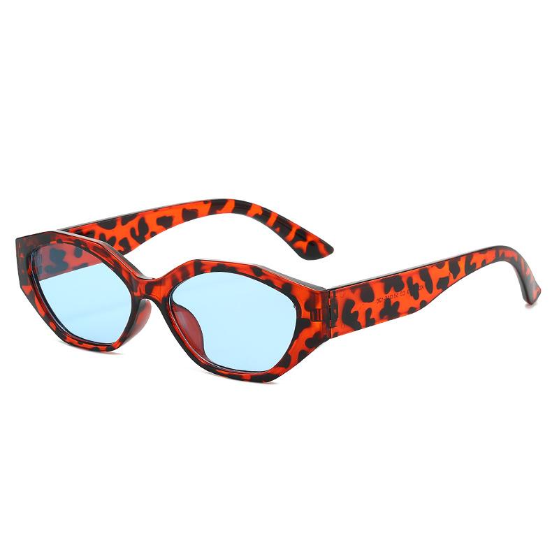 Cat's eye small frame polygonal irregular sunglasses personalized high-end sunglasses women's fashion retro sunglasses tide