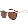 Arcade Sunglasses for Men and Boston UV Colored Mirrored Fashion Brown Women, Frame, Protection, Lenses, Lenses, Glasses, Casual,