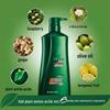 100 Years Hair Conditioner Oil Control Anti-Dandruff Shampoo
