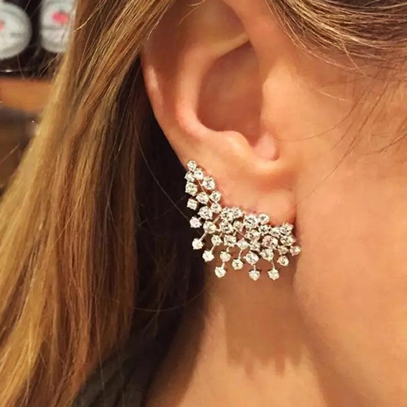 New European and American Design Earrings with Personality, Niche Fashion, Elegant Personality, Light Luxury Zircon Accessories